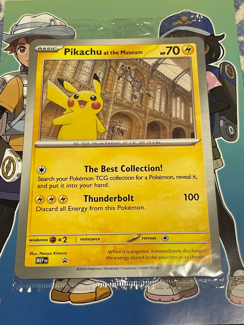 新品未開封 ピカチュウ ロンドン自然史博物館 24時内発送