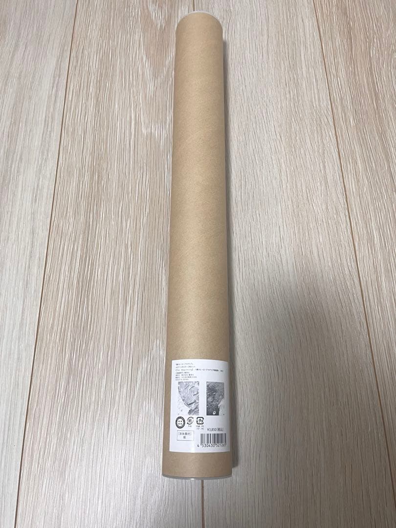 僕のヒーローアカデミア原画展A2アートポスター The Beginning デク