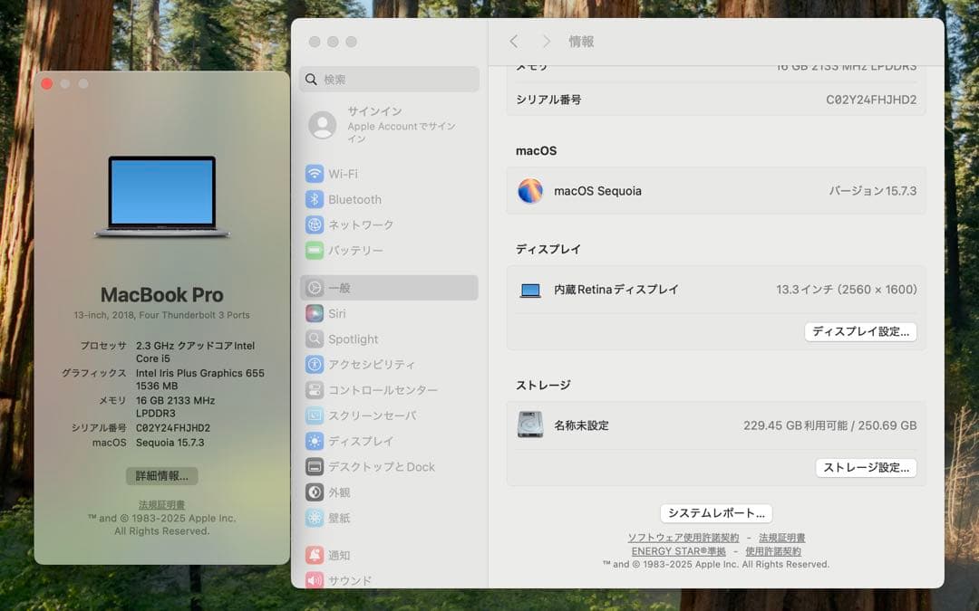 MacBook本体 Apple MacBook Pro 13 2018 i5/16GB/250GB
