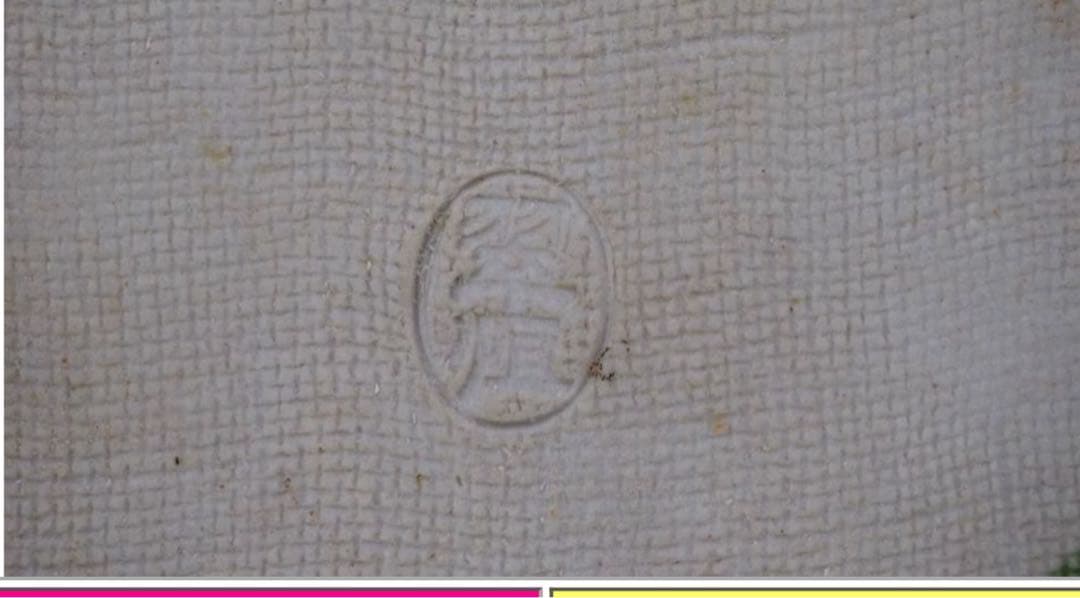 送料無料　小松市立本陣記念美術館展示品 九谷名人日展参与中村翠恒作 葉っぱに蝉