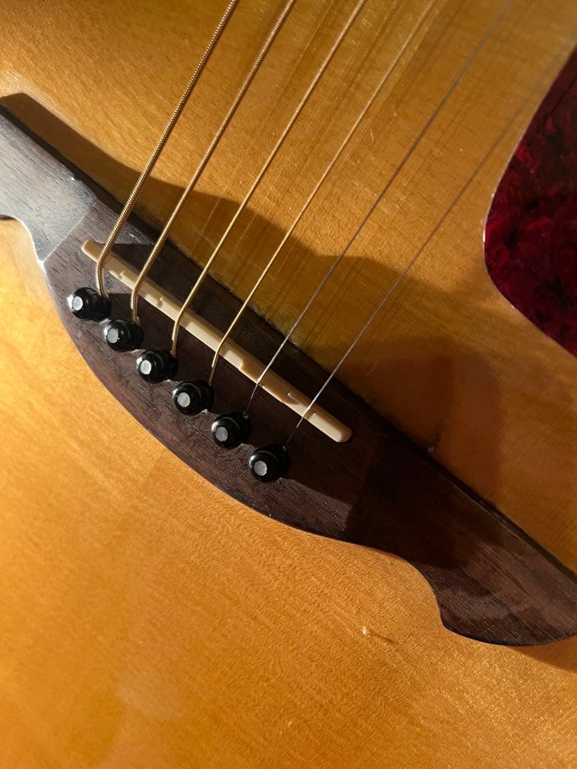 2015 james JD750 ジェームス　アコギ　ハードケース付き