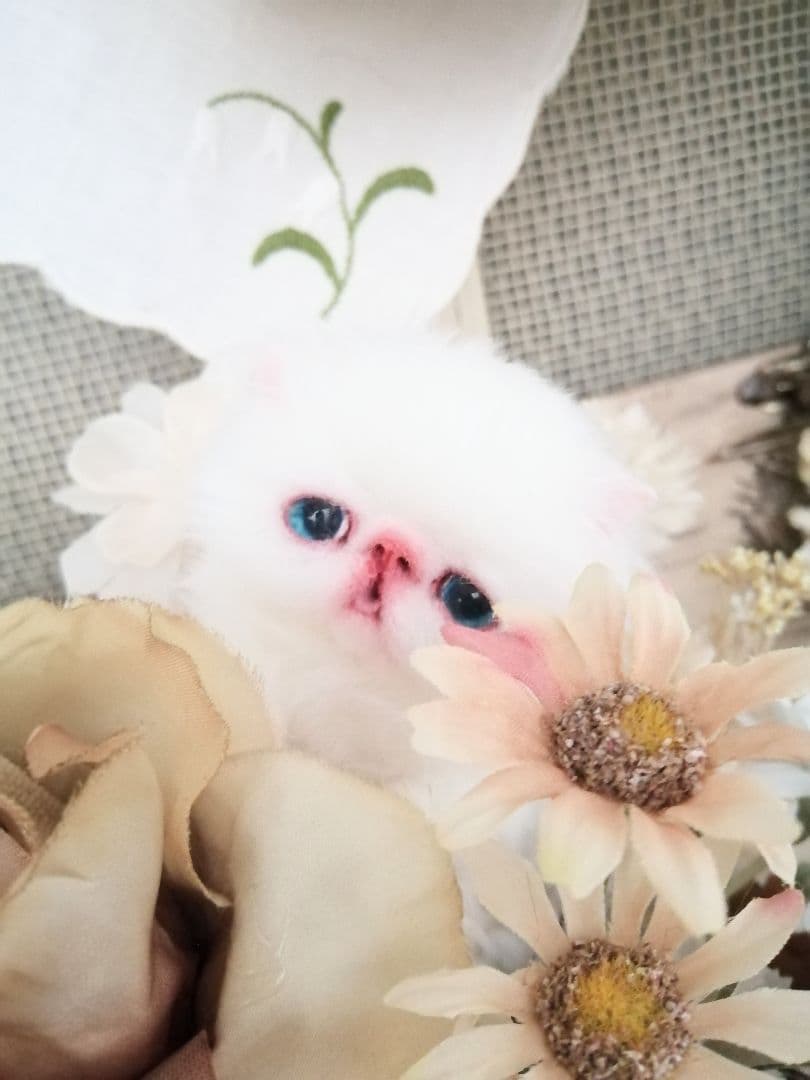 ミニミニ子猫ちゃん♡エキゾチック♡アートドール♡ぬいぐるみ♡