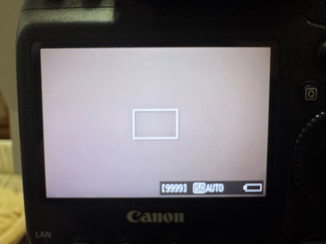 【最終値下】Canon EOS-1DX ボディ日本製/シャッター73,000以下