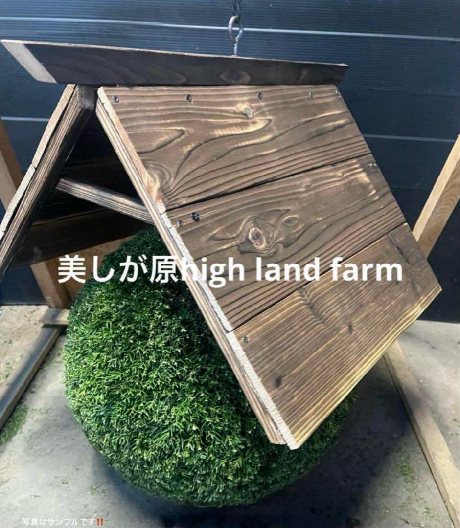 杉玉　約45センチ　ワイヤーで‼️お客様ご注文品♪