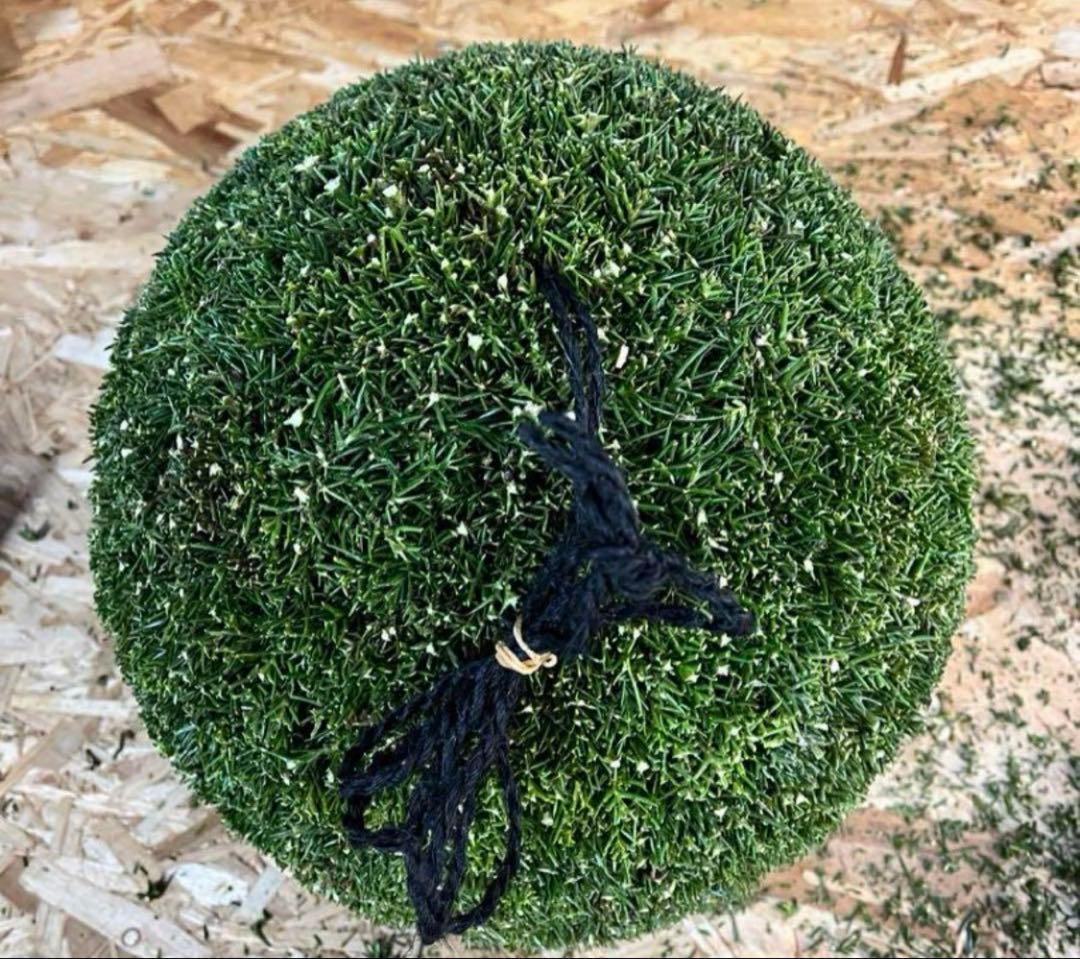 杉玉　約45センチ　ワイヤーで‼️お客様ご注文品♪