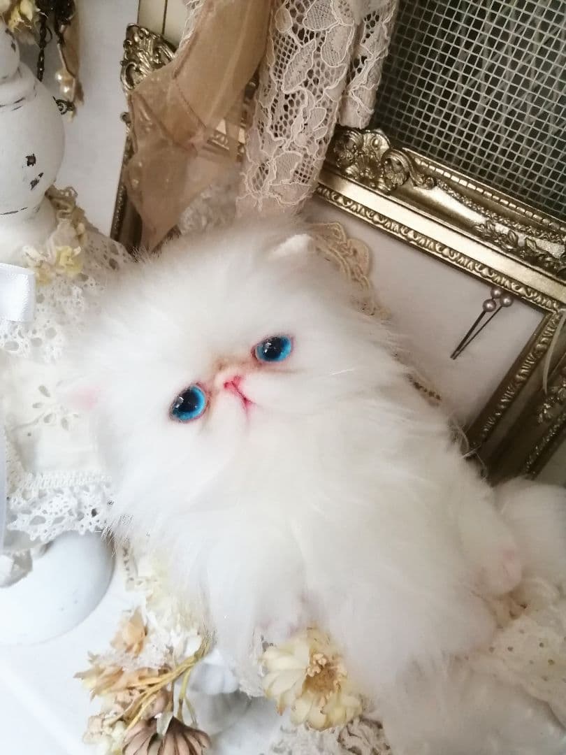 ポッケにゃん♡真っ白美人ちゃん♡エキゾチック子猫ちゃん♡アートドール♡ぬいぐるみ