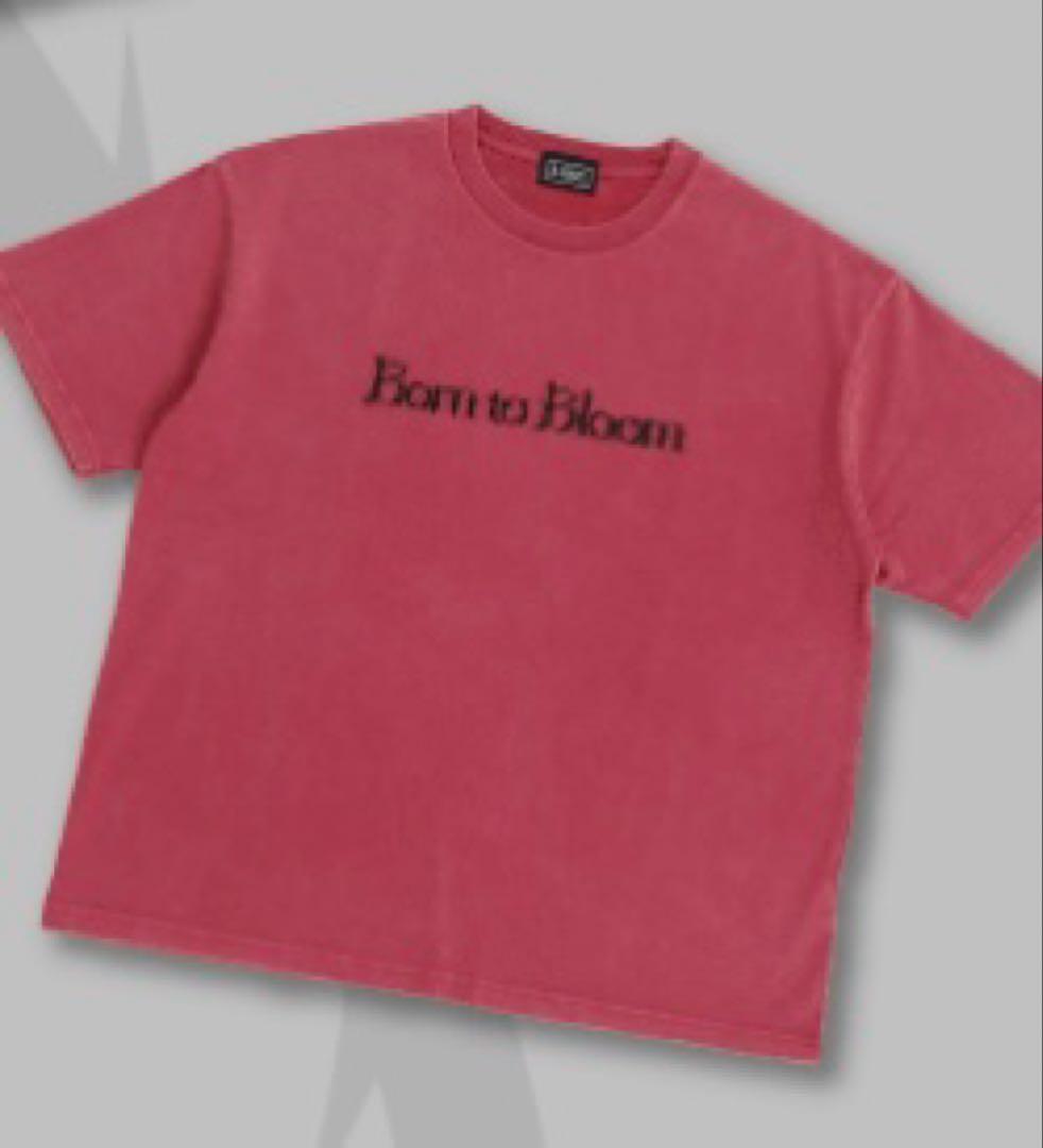 HANA 1sTOUR 2026 Born to Bloom Tシャツ Rose