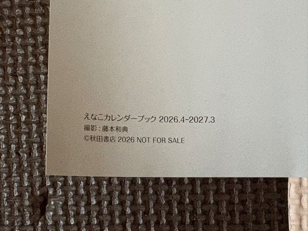 えなこ カレンダーブック ２０２６．４～２０２７．３ 会場限定ポスター