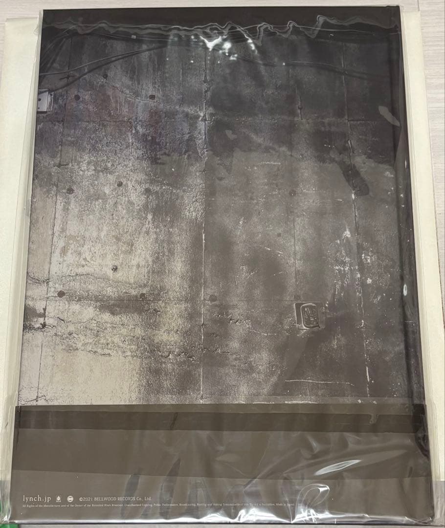 lynch. 葉月 写真集 羅刹 サイン入り