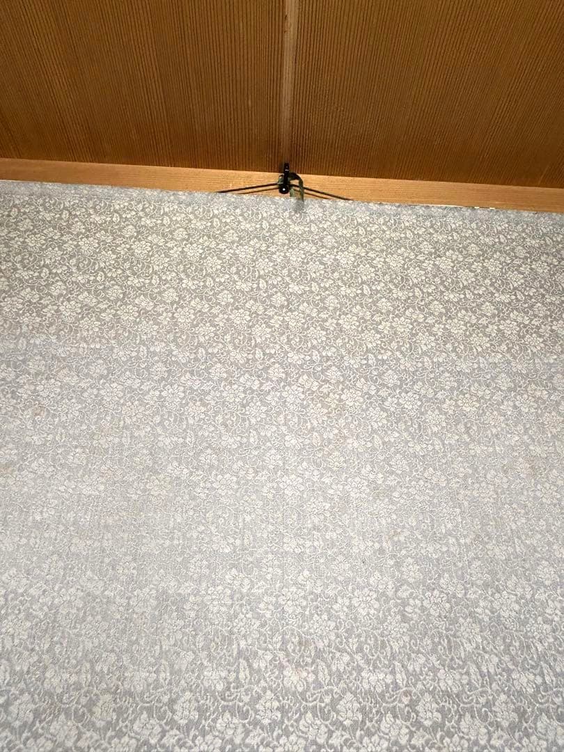 掛け軸　百蝶園　大判