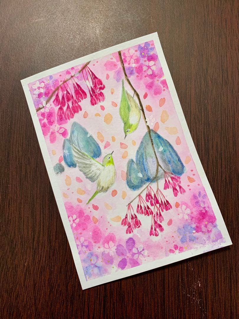 さくら水彩画　寒緋桜とめじろ　値段は※900円です