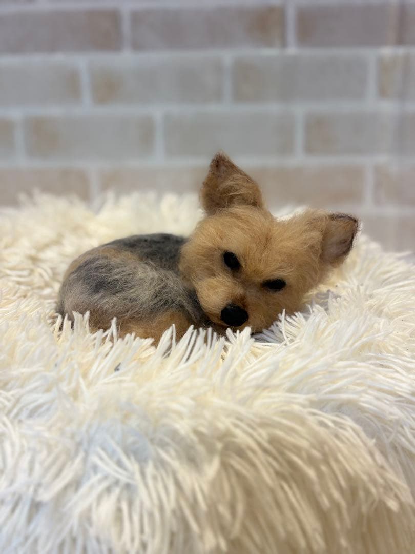 ヨークシャテリア　羊毛フェルト　momoichgo ヨーキー