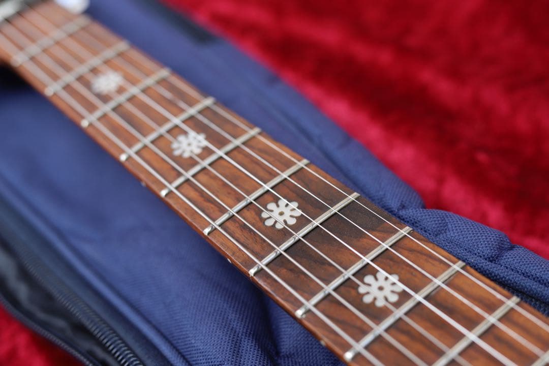 メンテ済 一部難有 DAISY ROCK Girl Guitars バタフライ