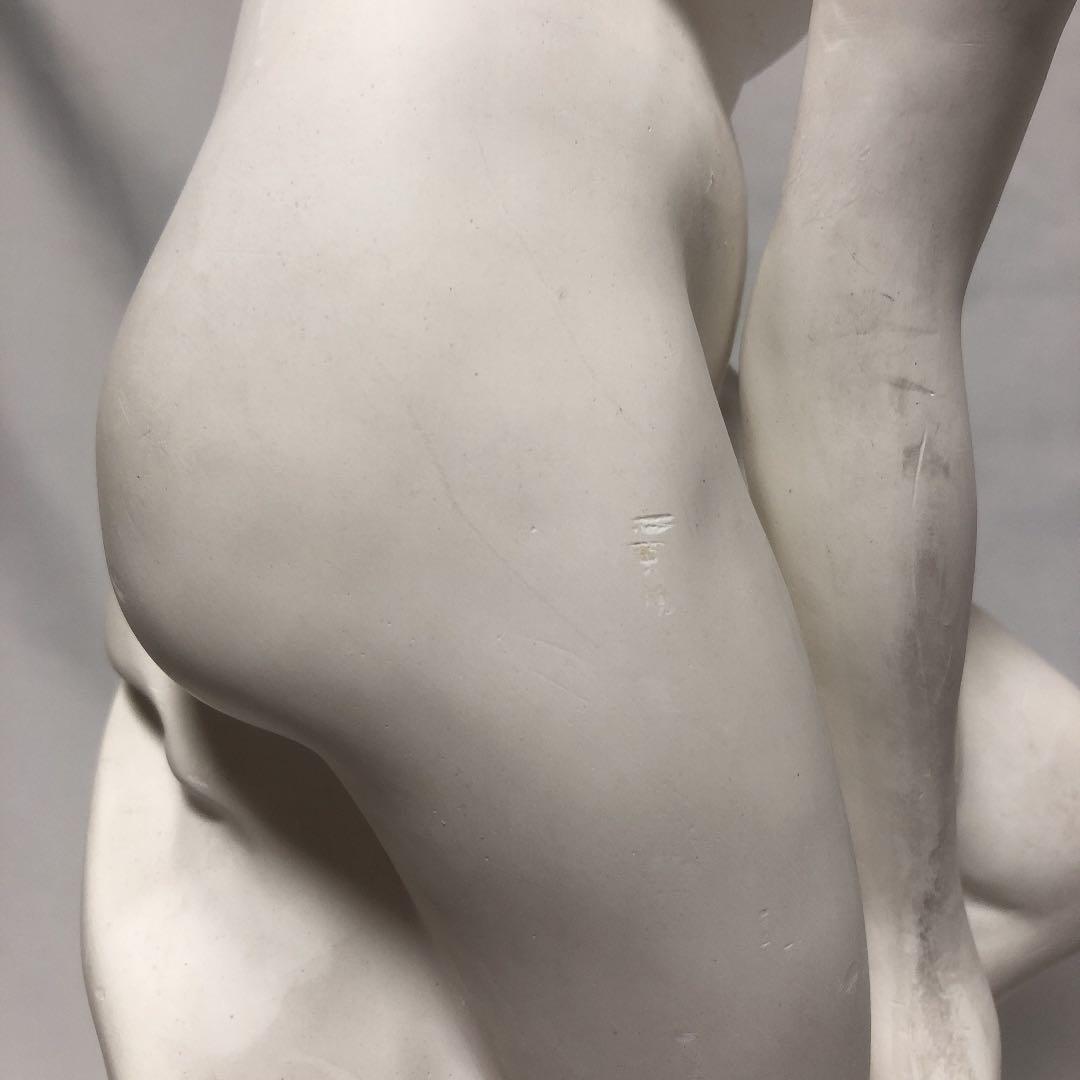 ヴィーナス　石膏像