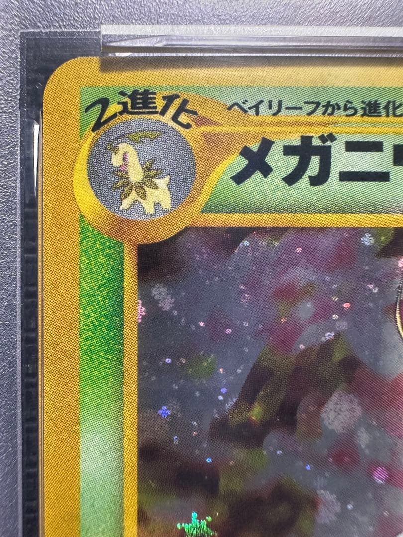 メガニウム　バクフーン　オーダイル　プレミアムファイル　旧裏　PSA9