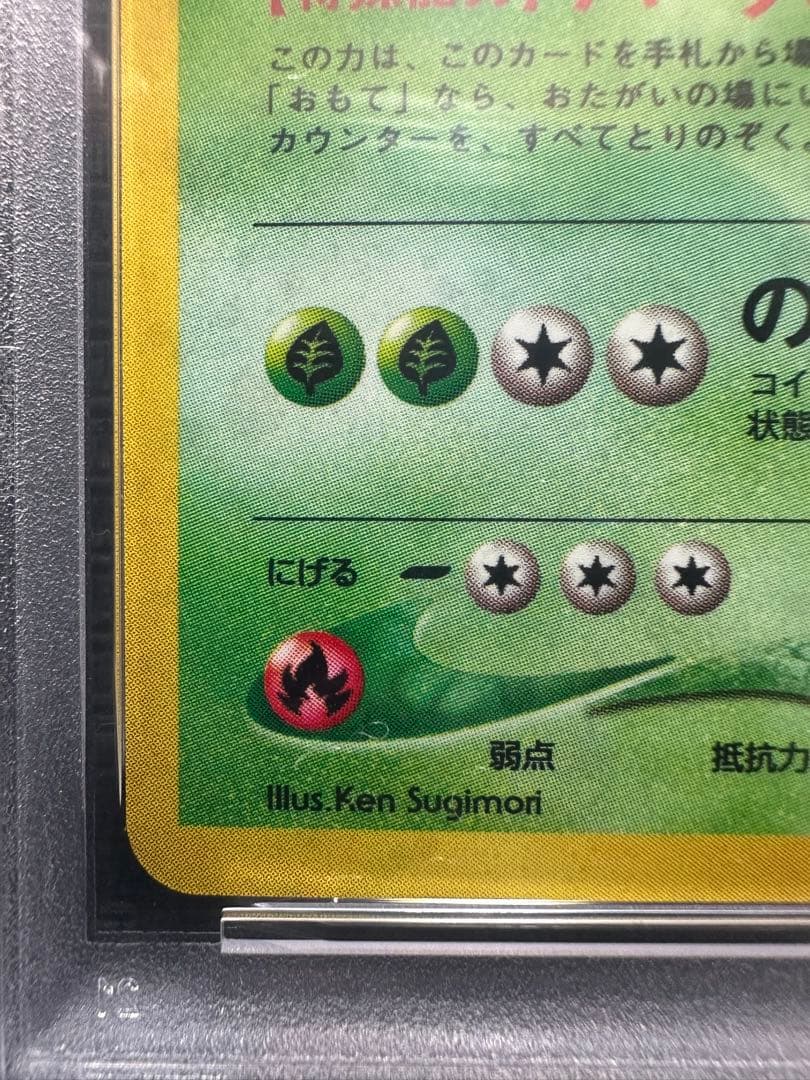 メガニウム　バクフーン　オーダイル　プレミアムファイル　旧裏　PSA9