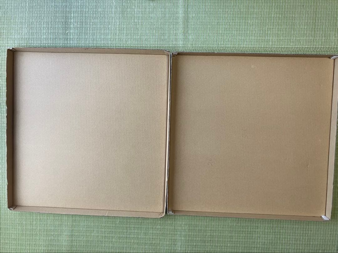 カレン ホイプティング 【キリンの歌125】