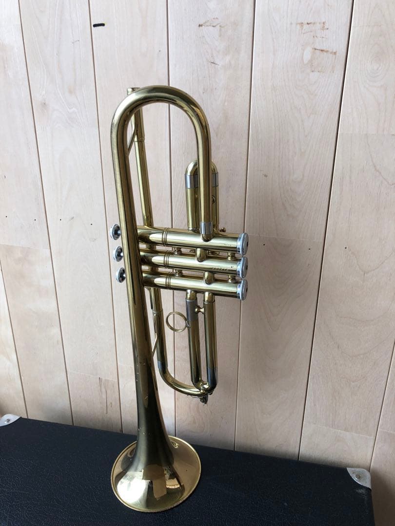 トランペット (D13)