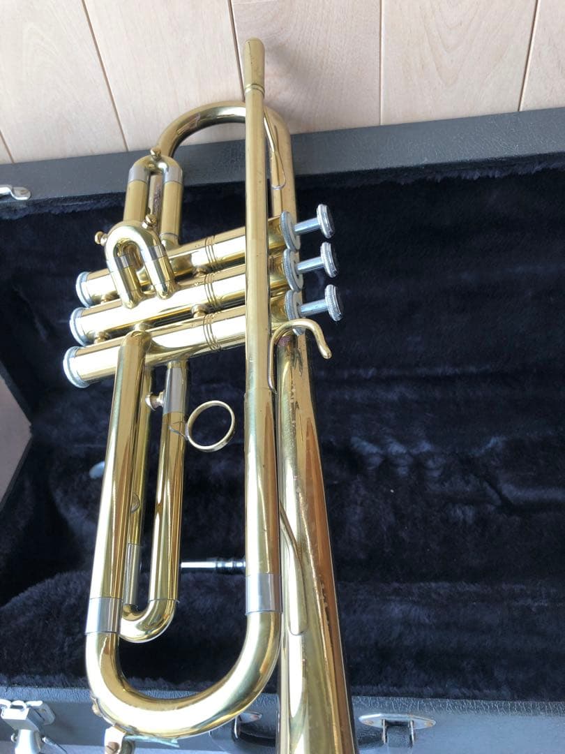 トランペット (D13)