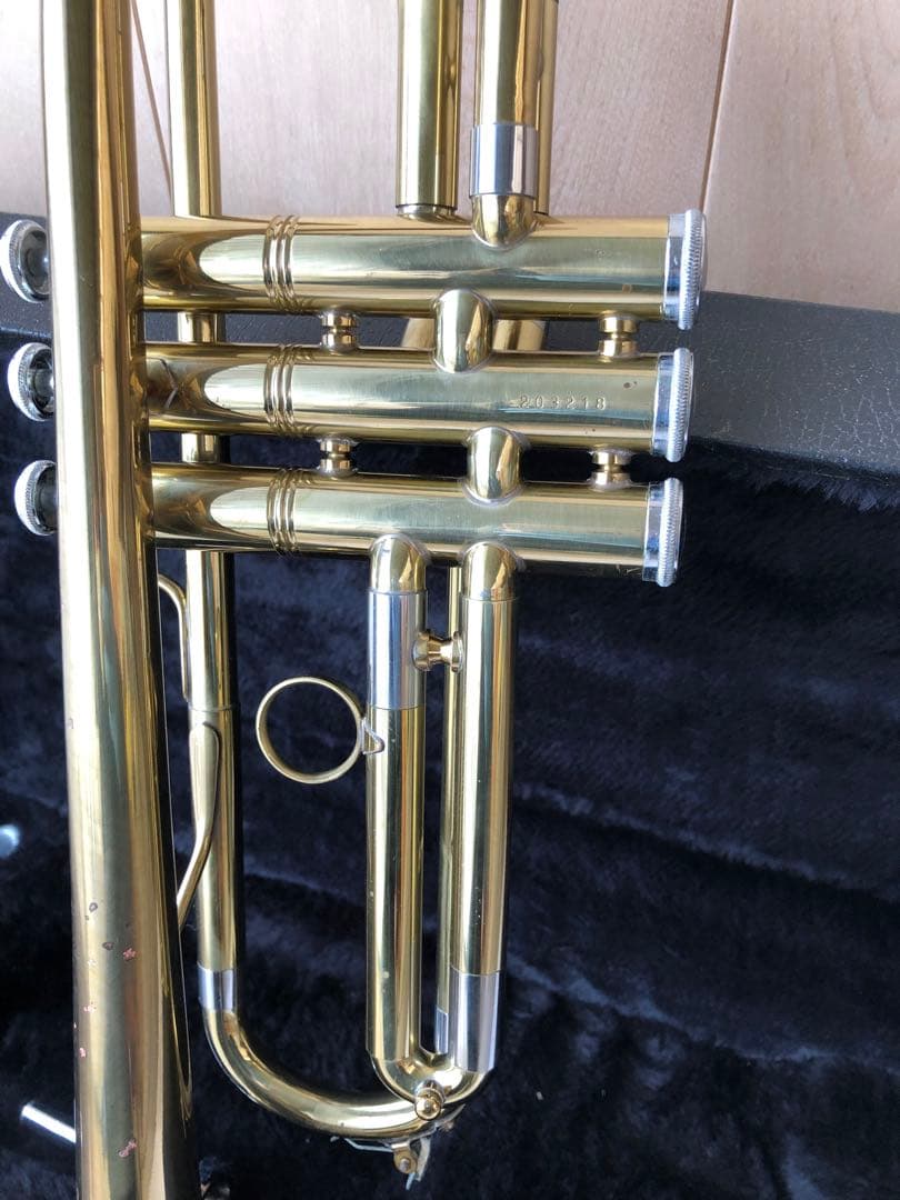 トランペット (D13)