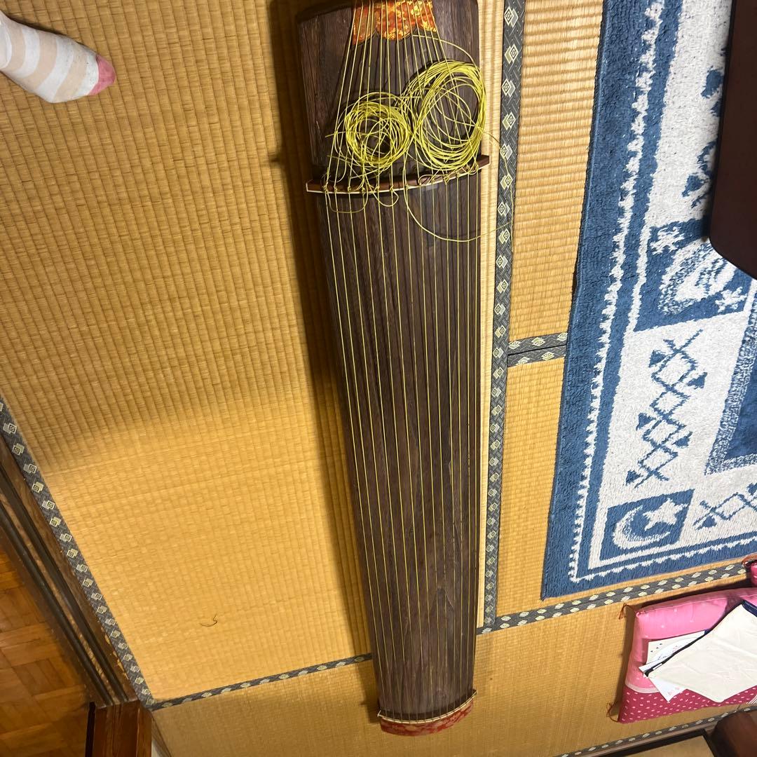 琴　13弦　並甲　和琴