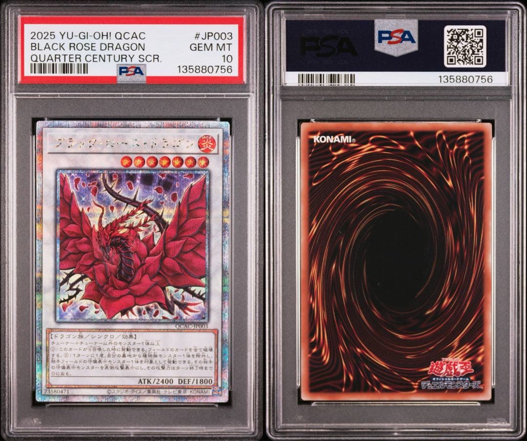 【PSA10】遊戯王　ブラックローズドラゴン　通常絵、絵違い　クオシク