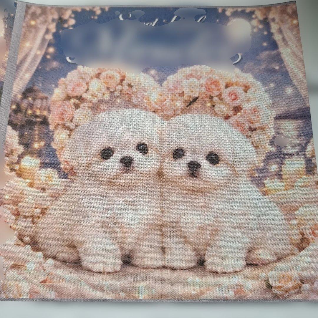激レアパグ、ポメラニアン、柴犬、フレンチブル、チワワ、トイプー、マルチーズ