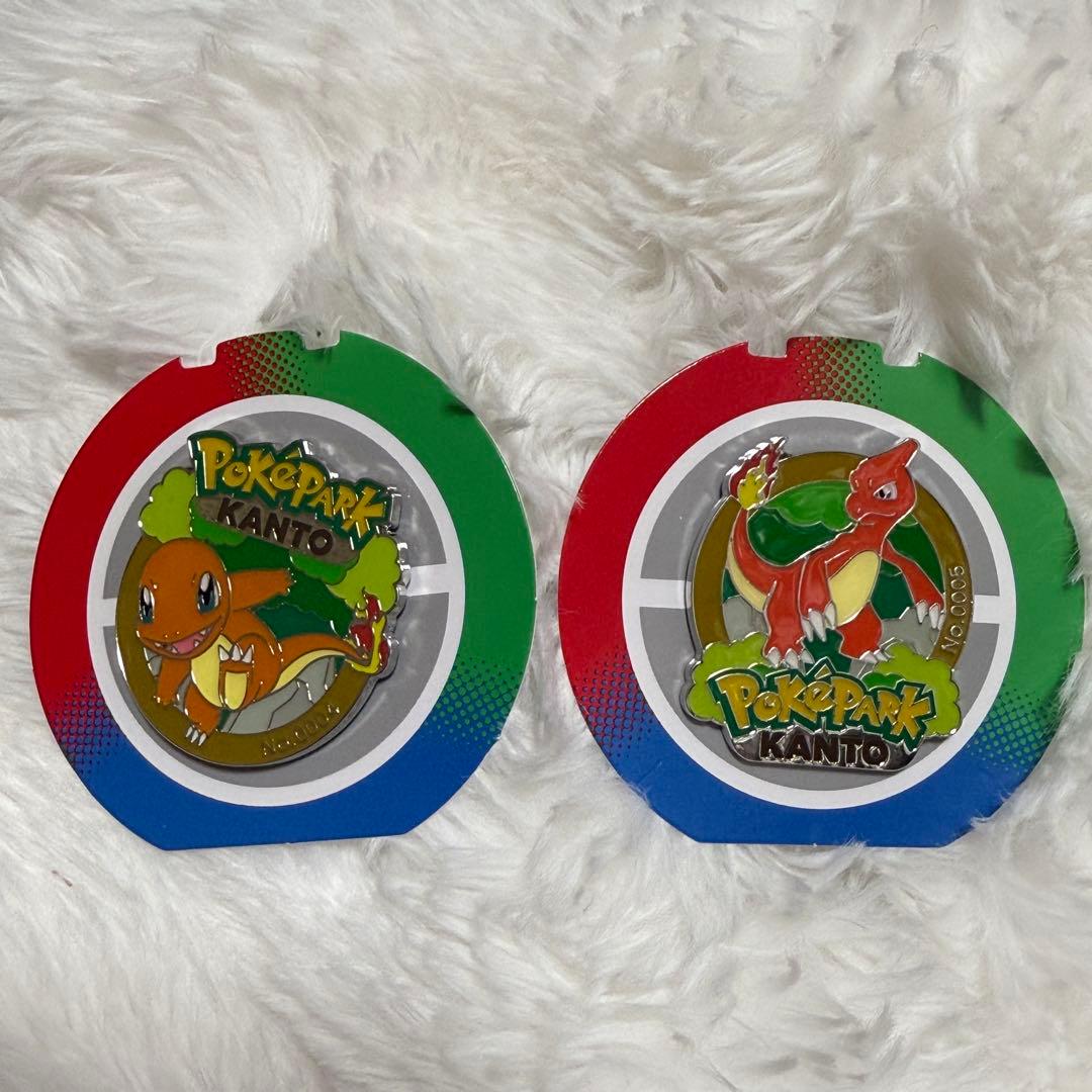 ポケパーク KANTO ピンズ ヒトカゲ リザード2点セット