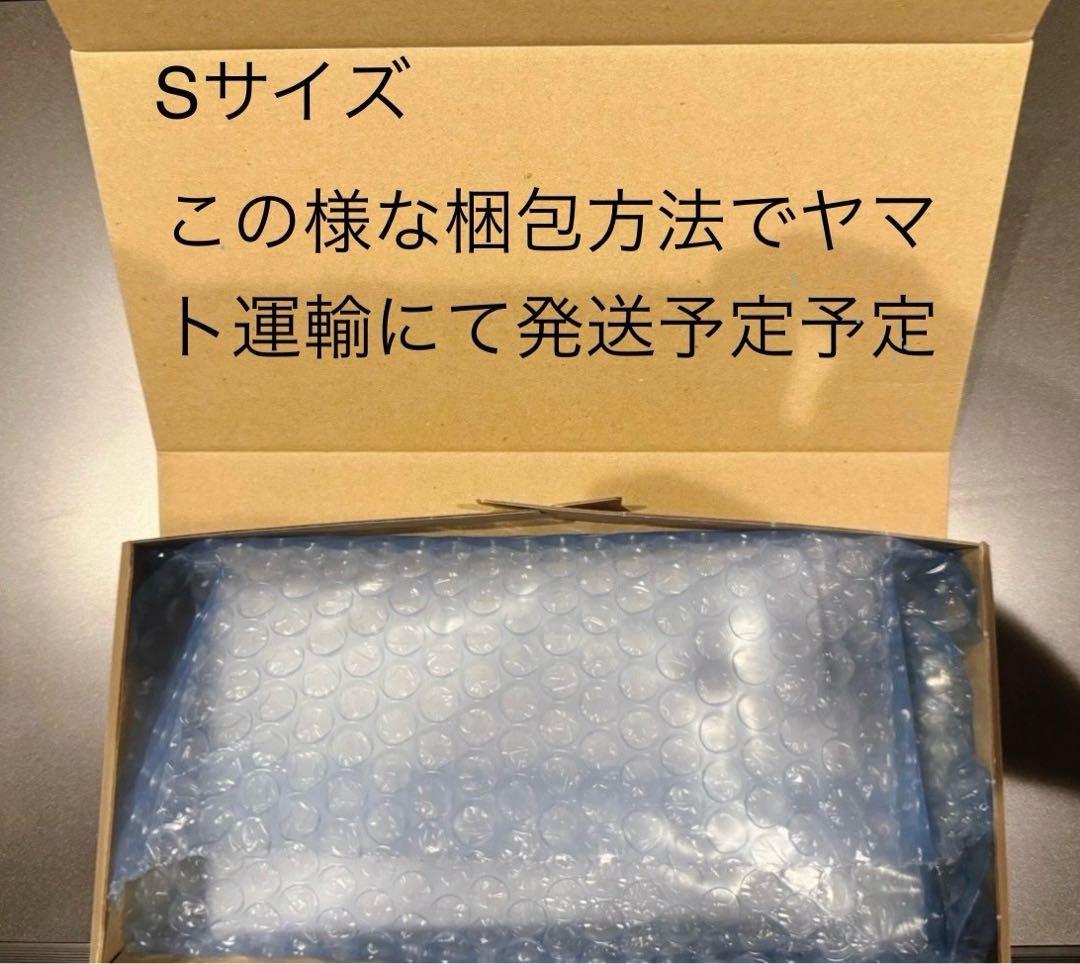PSA10トランクス5516
