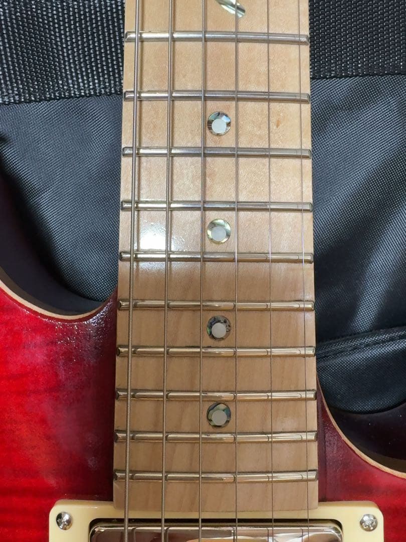 BanG Dream! POTBELLY FM Rana、未開封ポスター付き