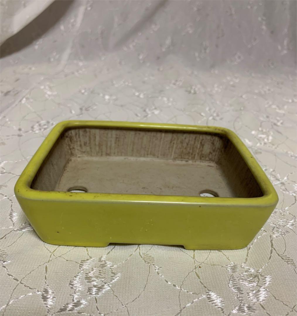 青香　長方　盆栽鉢