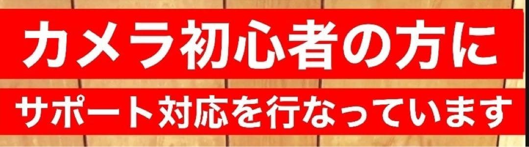CanonミラーレスカメラEOSRシリーズ対応！ズームレンズ！アダプター付き