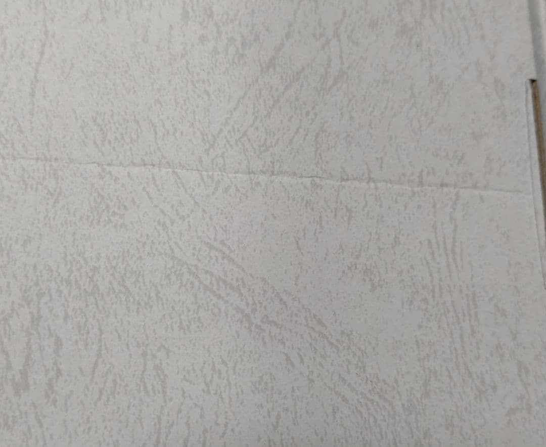 フェアリーテイル 複製原画