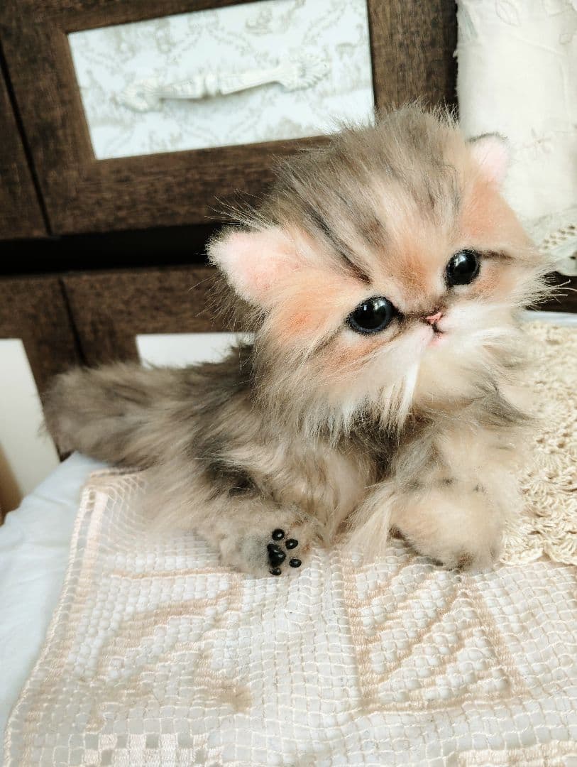 チンチラゴールデン♡子猫のふわりちゃん♡アートドール♡ぬいぐるみ♡