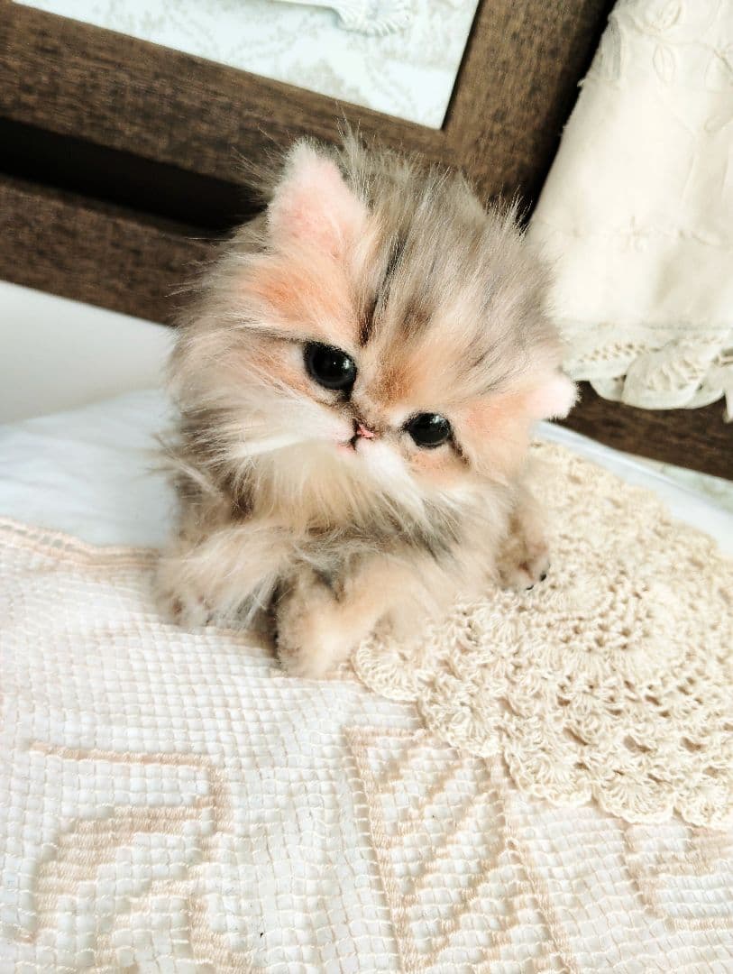 チンチラゴールデン♡子猫のふわりちゃん♡アートドール♡ぬいぐるみ♡