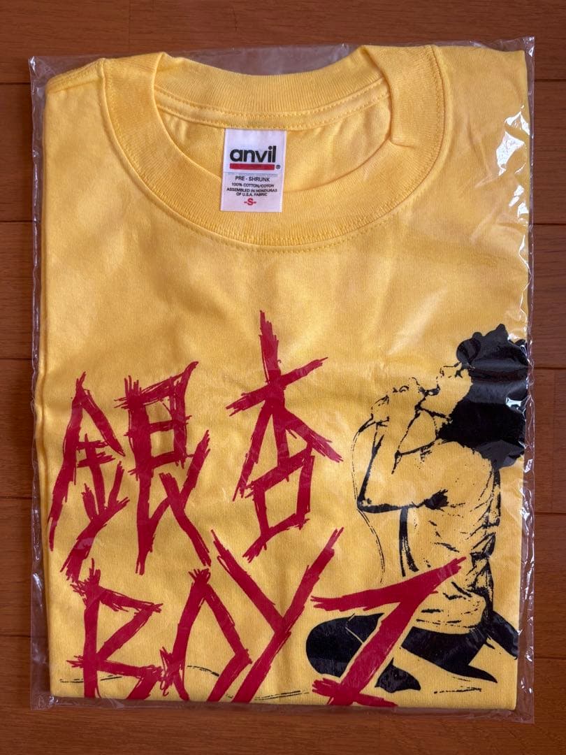 年末年始価格⭐︎初期未開封銀杏BOYZ通称ミネタT黄色S GOINGSTEADY