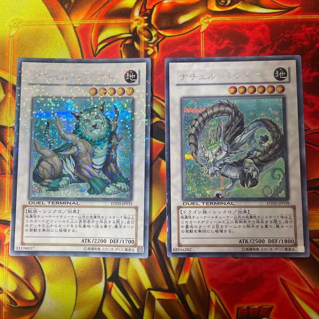 ナチュル・ビースト ナチュル・パルキオン　DTシク　セット