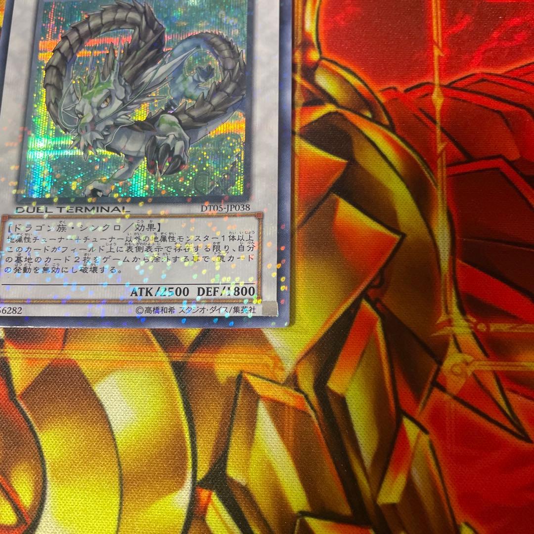 ナチュル・ビースト ナチュル・パルキオン　DTシク　セット