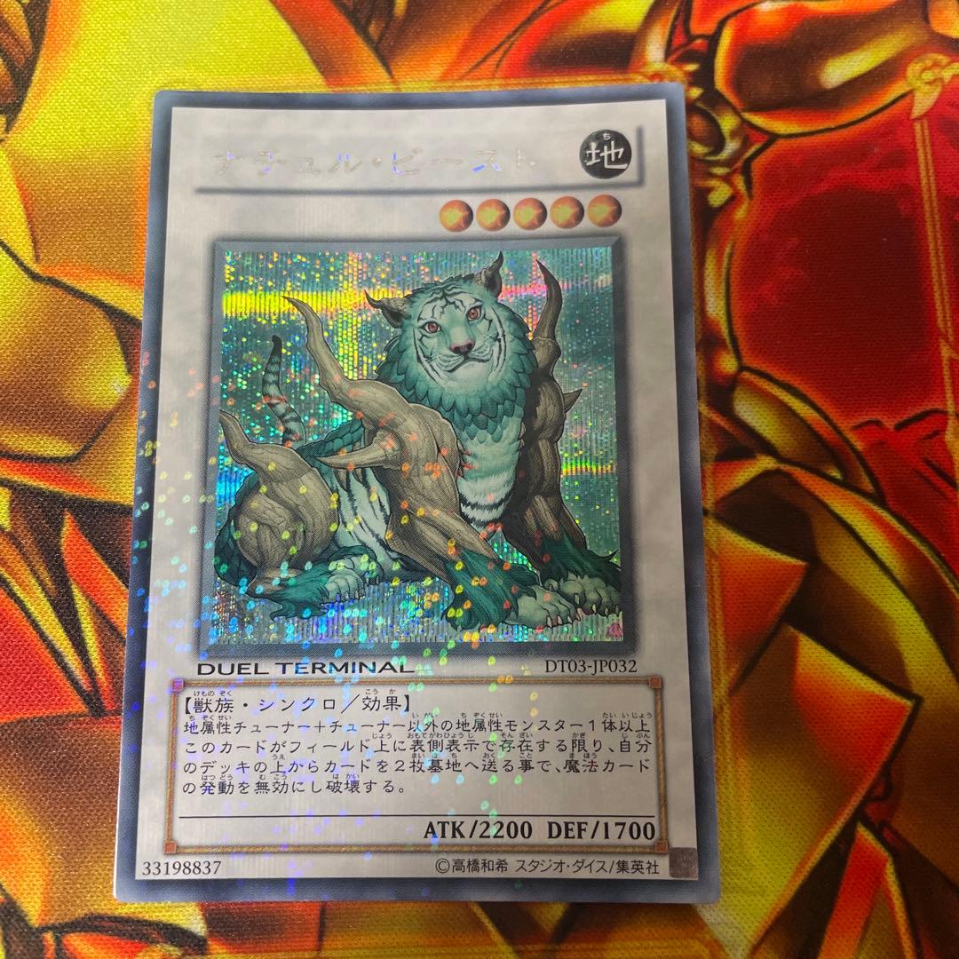 ナチュル・ビースト ナチュル・パルキオン　DTシク　セット