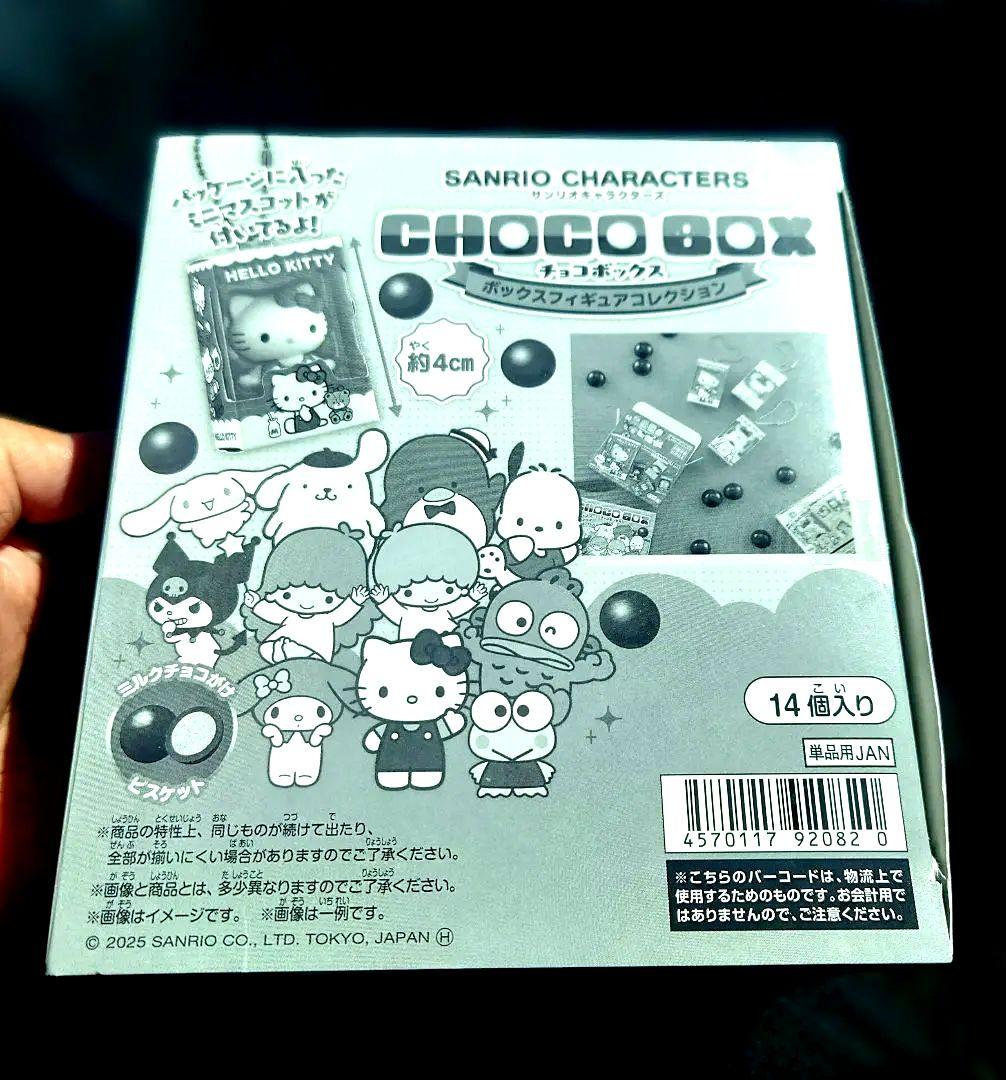 サンリオキャラクターズ チョコボックス 10個セット(シークレット含む)