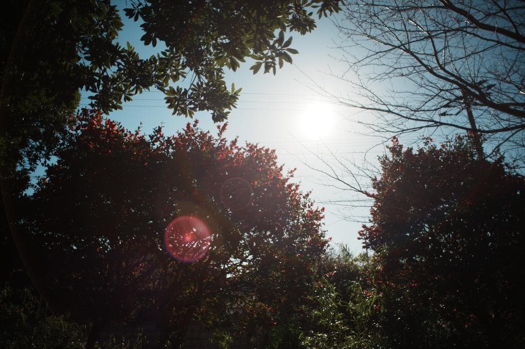 整備＆テスト済 オリンパス Zuiko auto-w 24mm F2.8 352