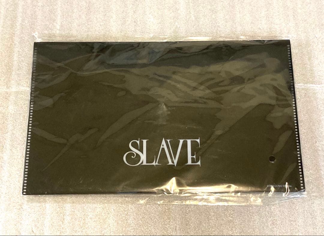LUNA SEA ERA to ERA ツアー slaveシートお土産セット