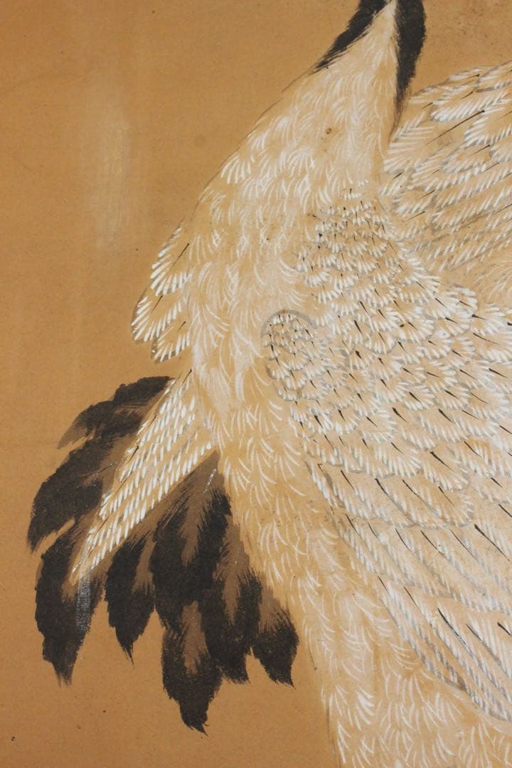 No5649掛軸　在銘　南弍　双鶴若松図　紙本着色　合箱　日本画　花鳥　送料無料