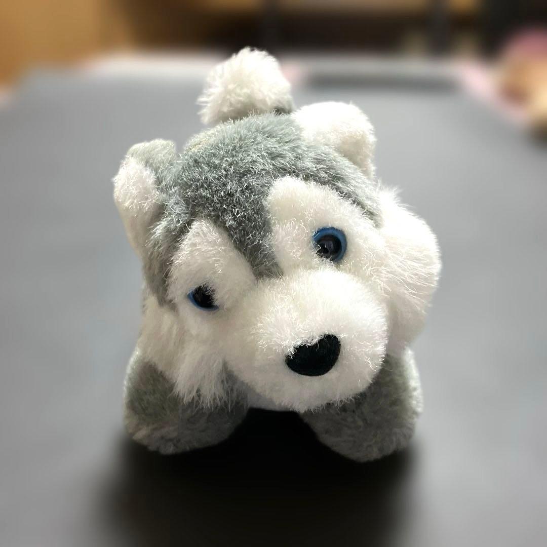 【非売品】世界名作劇場フランダースの犬 ①パトラッシュと②ハスキーのぬいぐるみ