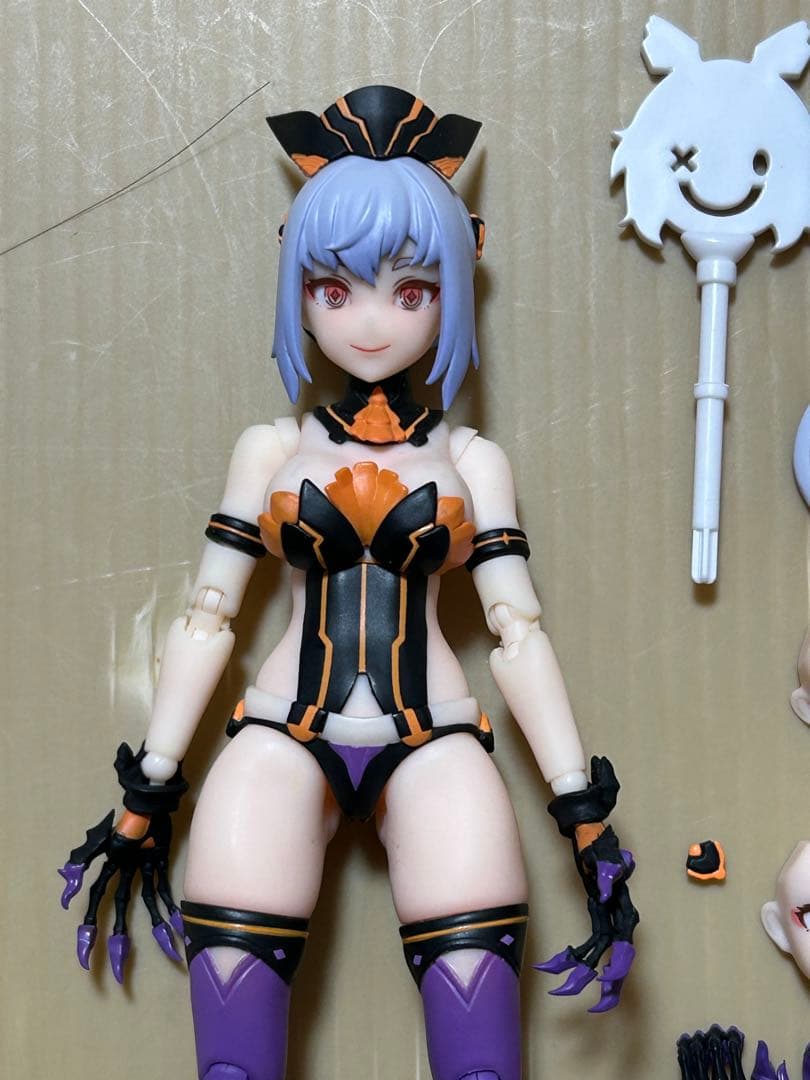 スネイルシェル　パンプキンプリンセス 現状品