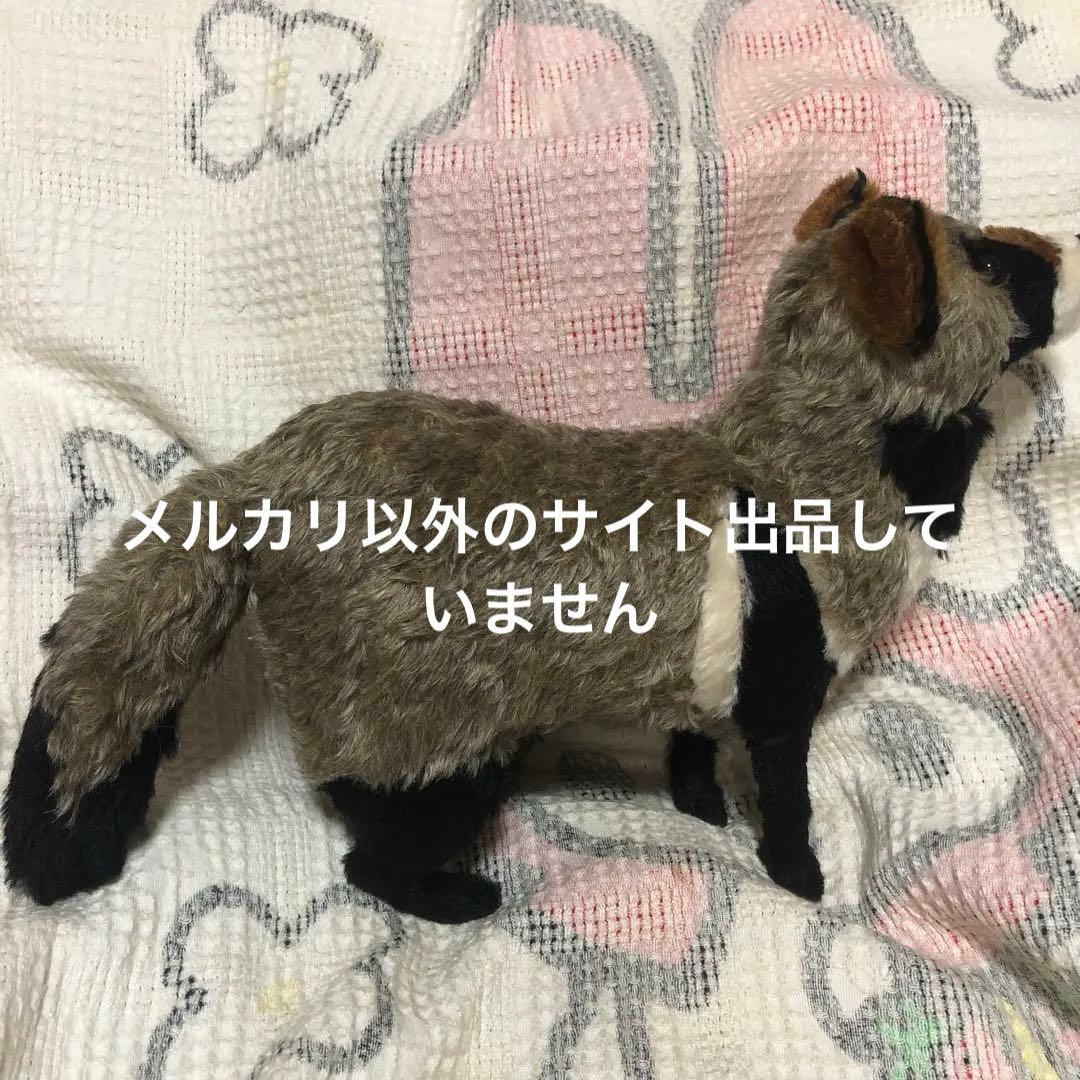 TOMO BEAR テディベア作家　TOMOKO FURUYA タヌキ　中古品