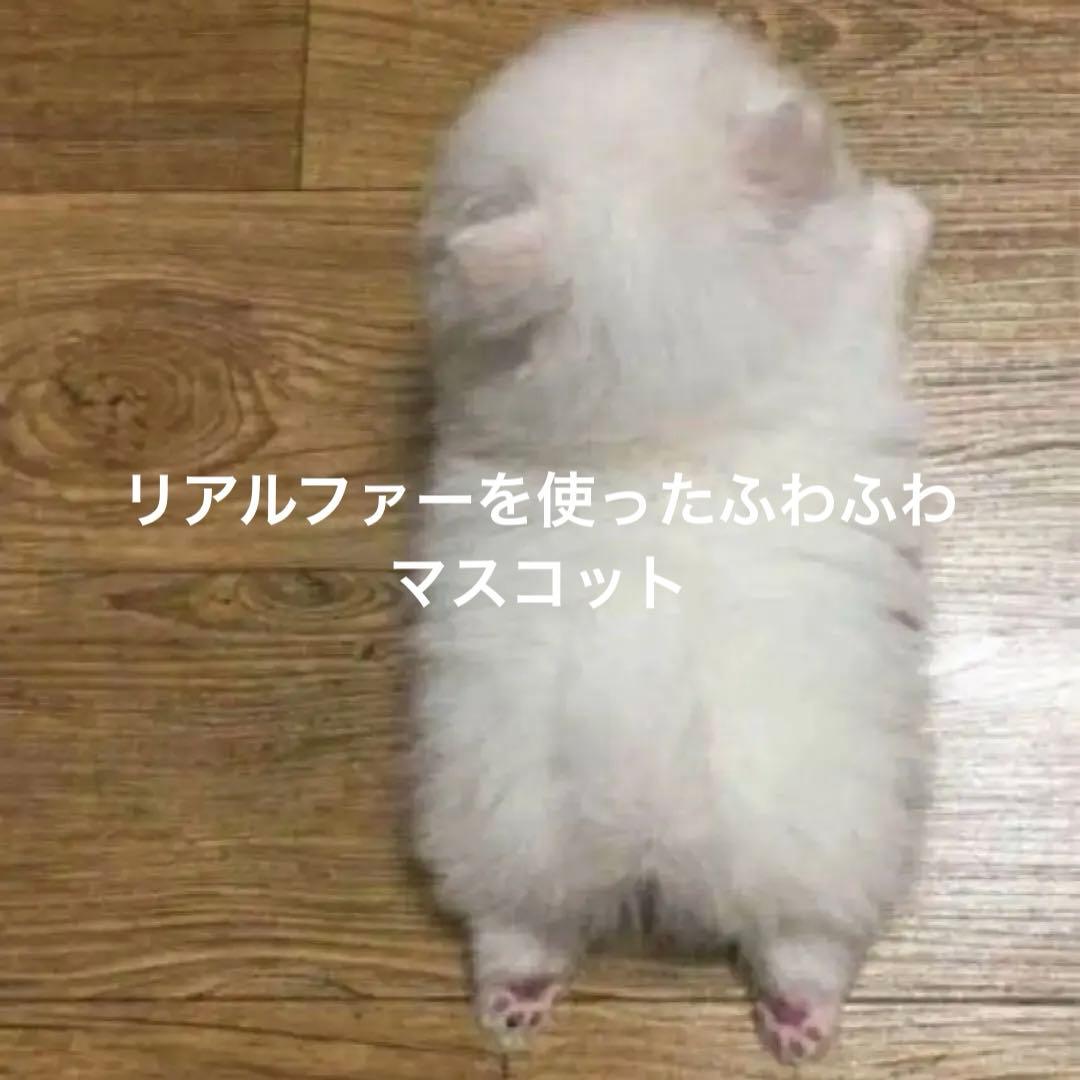 マイペット オーダーメイド マスコット