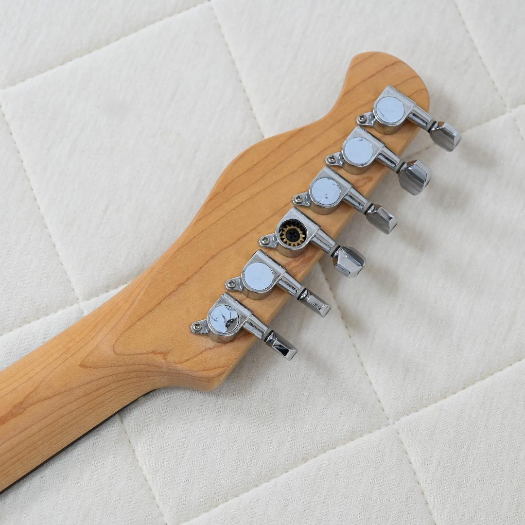 【送料込】Bacchus テレキャスター サンバースト エレキギター G025