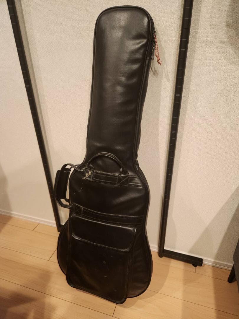 メンテナンス済 TEISCO テスコ S2 ビザールギター テレキャスタイプ