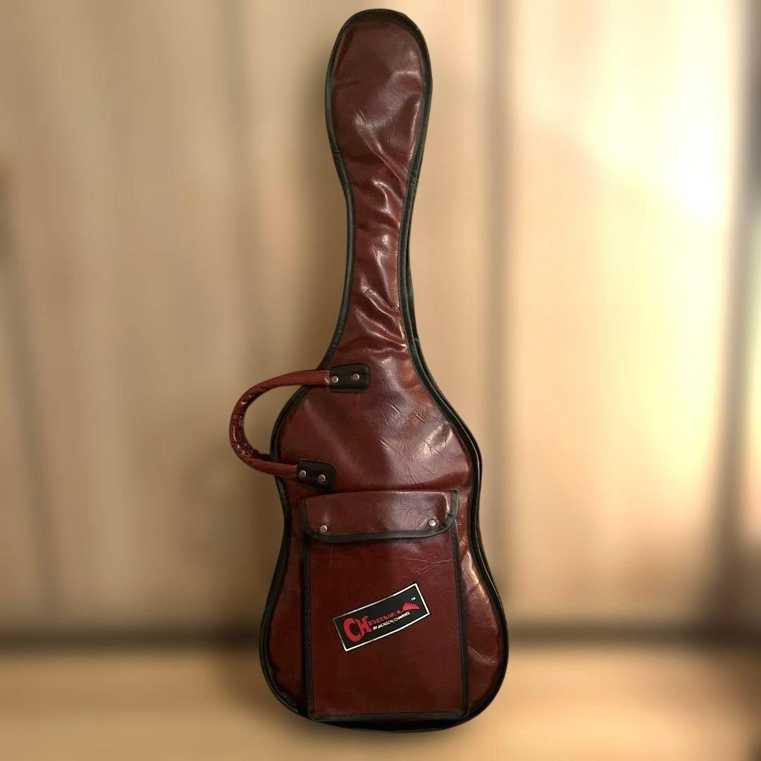 Tokai Custom Edition ロック式 STタイプ ケース付